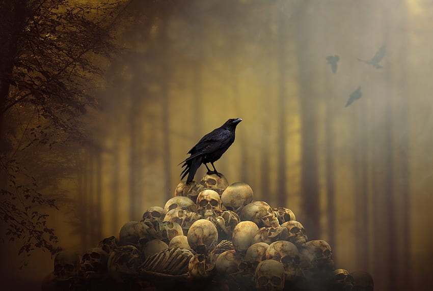 Fantasy, raven, skulls' heap, bird HD wallpaper