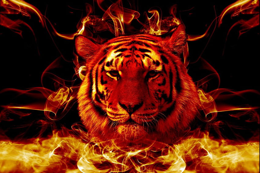 Lightning Cool Tiger, Flame Tiger HD wallpaper