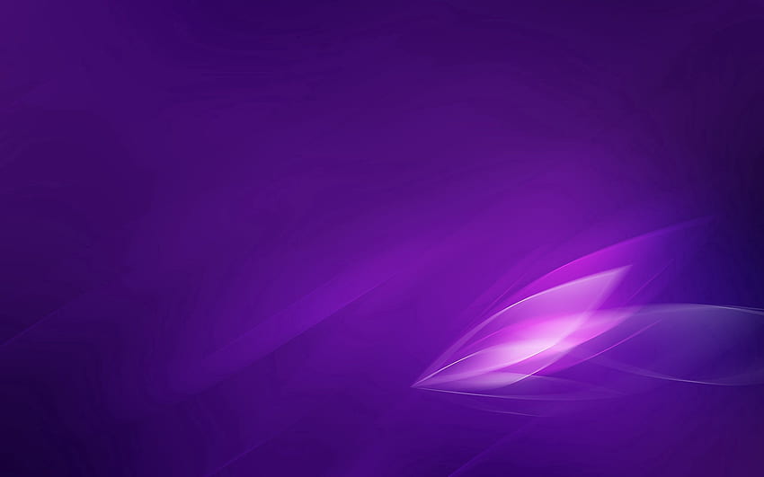 Abstract, Leaves, Lilac, Light, Shadow, Light Coloured HD wallpaper