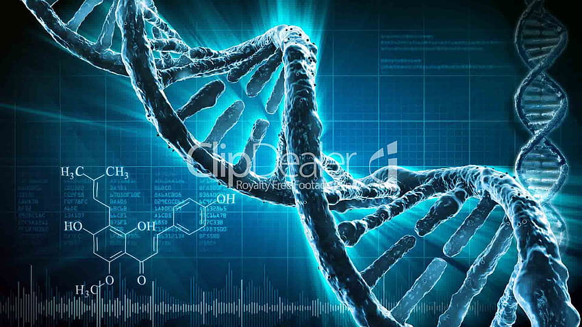 Computer Science , Quality And - Dna, High Resolution Science HD wallpaper