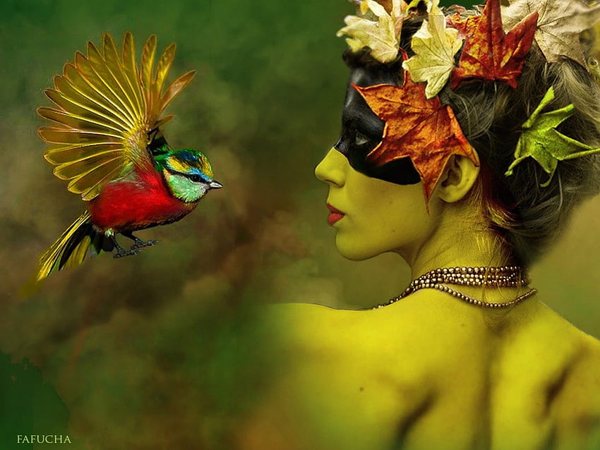 Pájaro centelleante, pájaro, mulher, hermoso, color del plumaje, mascarada fondo de pantalla