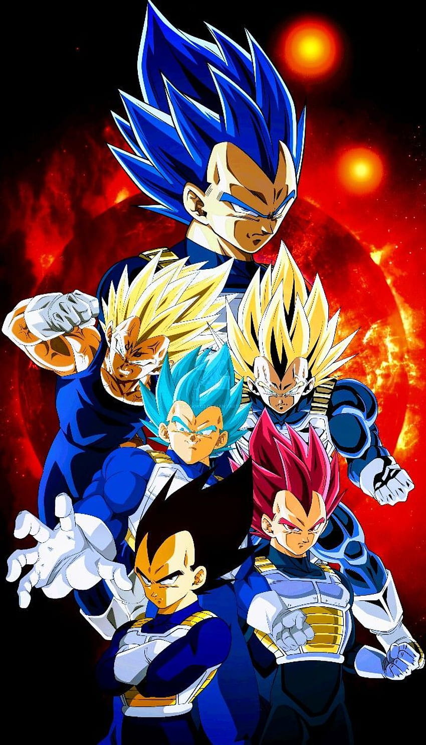 Vegeta All Forms, Goku All Forms HD phone wallpaper