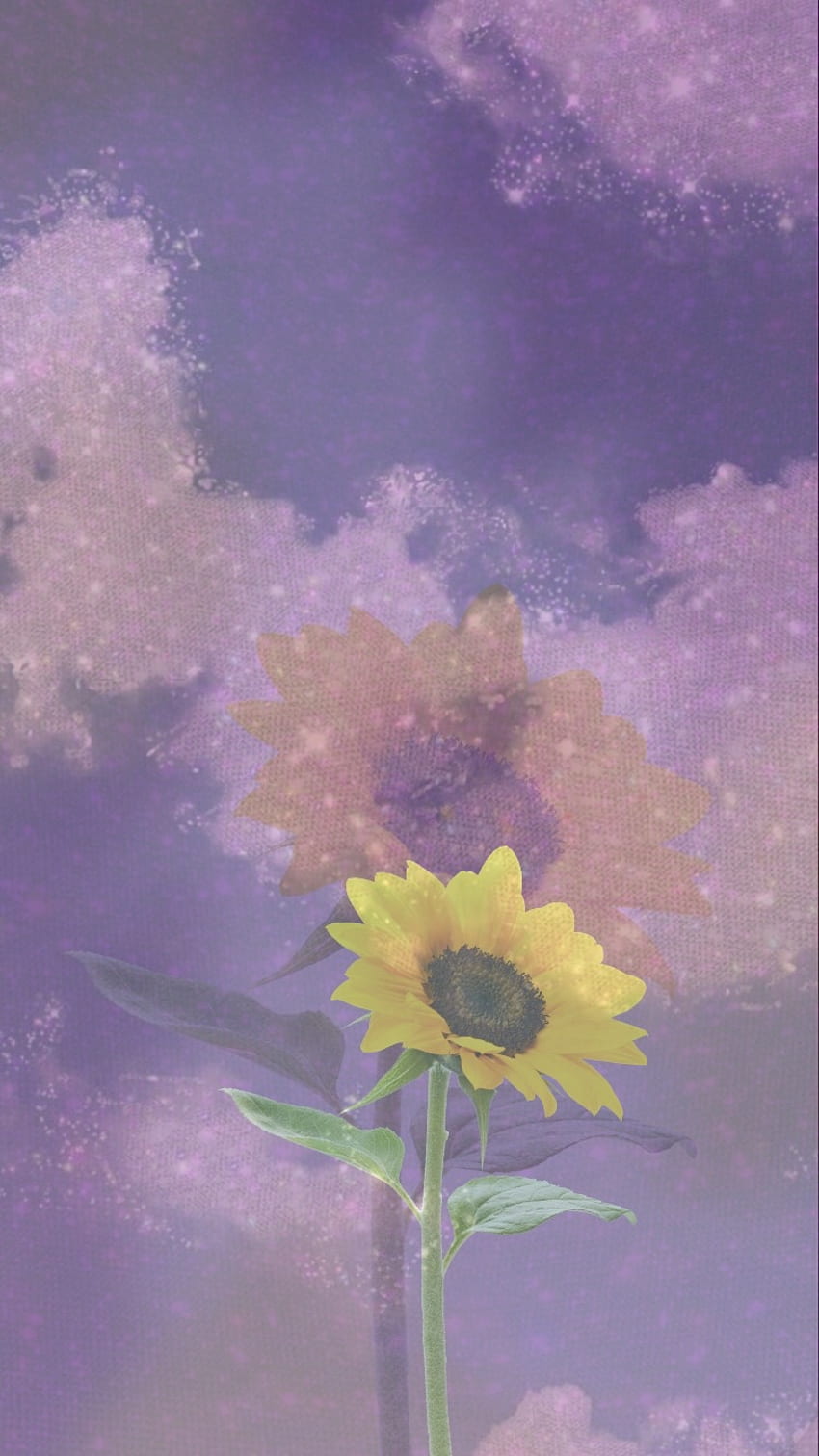 purple sunflower wallpaper