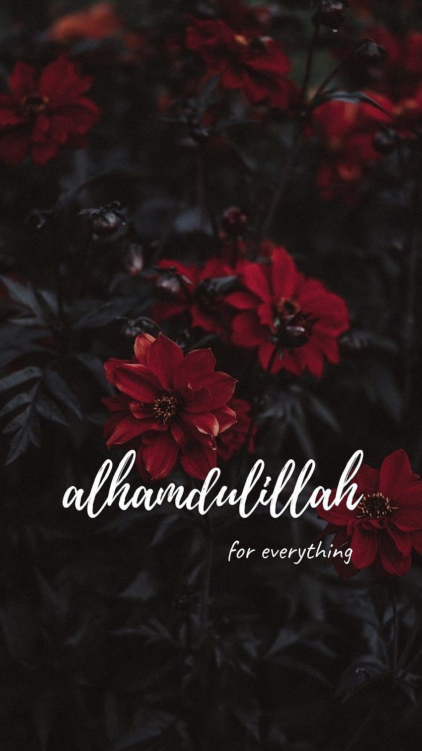 Alhamdulillah HD wallpapers | Pxfuel