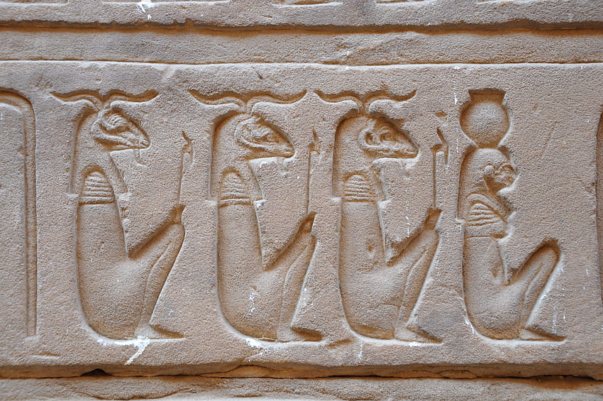 decoração de parede em relevo com animais brancos Egito, Hieróglifos Egípcios, Egito Antigo, Templo Egípcio papel de parede HD