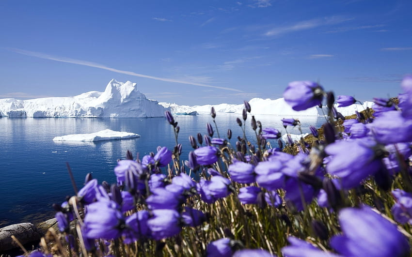 paisagem, icebergs papel de parede HD