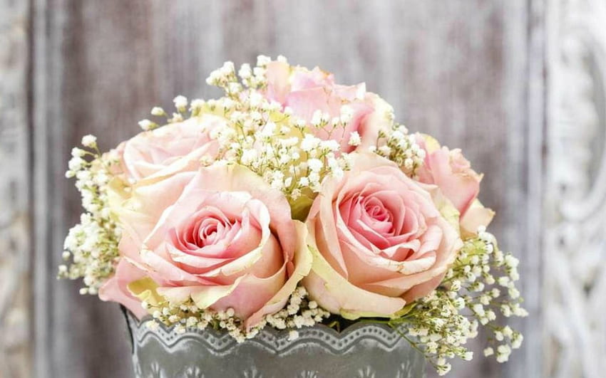 핑크 로즈, 장미, 핑크, 꽃, 꽃 HD 월페이퍼