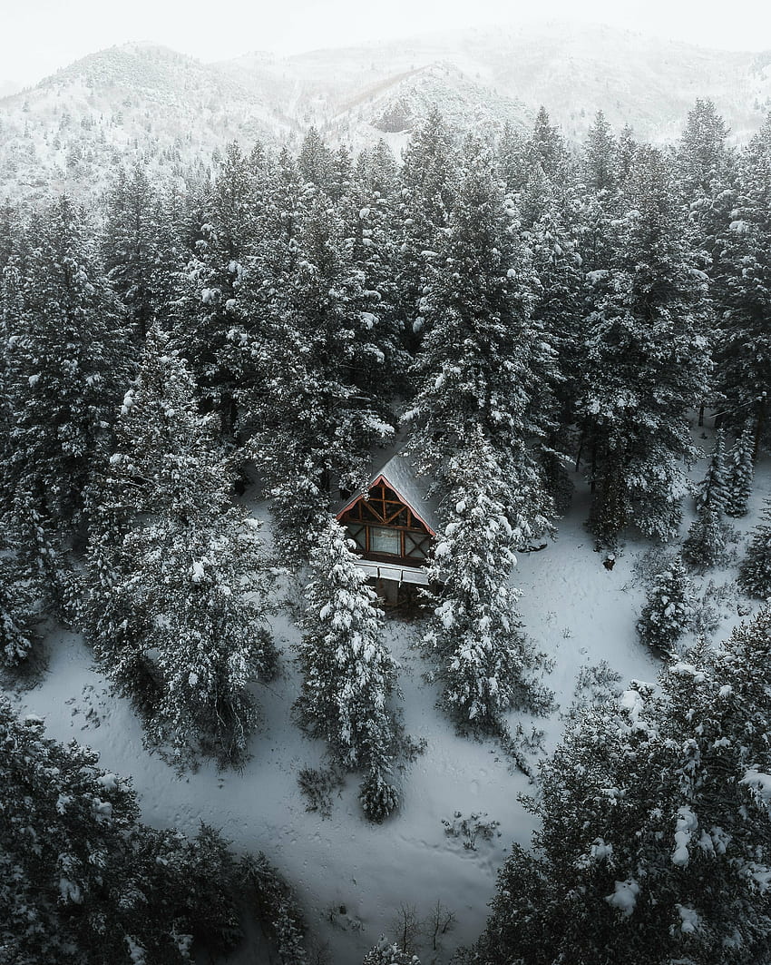 Hut in forest, drone shot, winter HD phone wallpaper