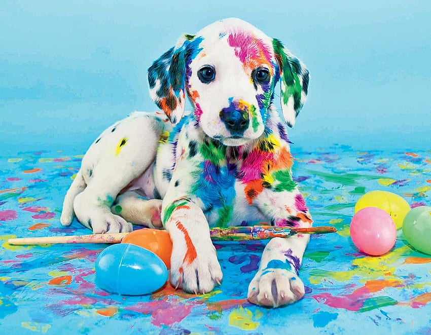Easter troubles, dog, colorful, puppy, pasti, easter, funny, caine, dalmatian, egg HD wallpaper