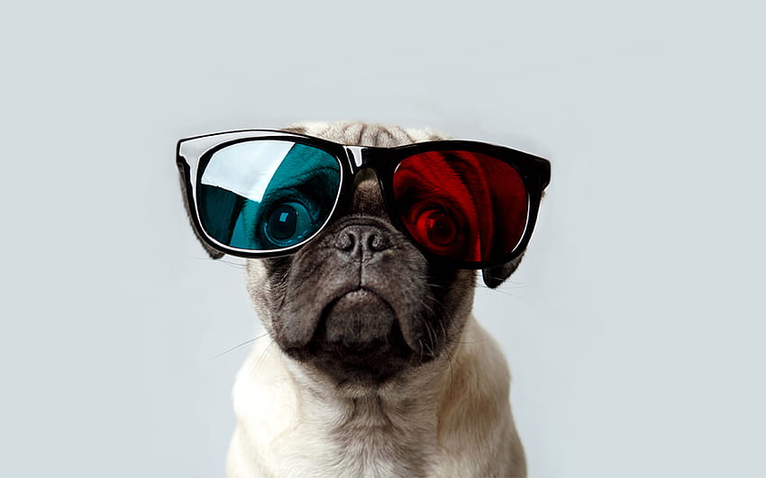 Pug 22280 px, Space Pug HD wallpaper | Pxfuel