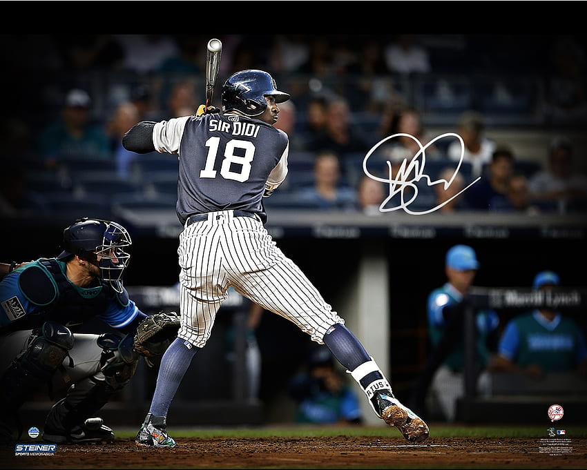 Bijący rekordy Yankees Shortstop Didi Gregorius podpisuje umowę na ekskluzywne przedmioty kolekcjonerskie ze Steiner Sports – raport mediów sportowych Tapeta HD