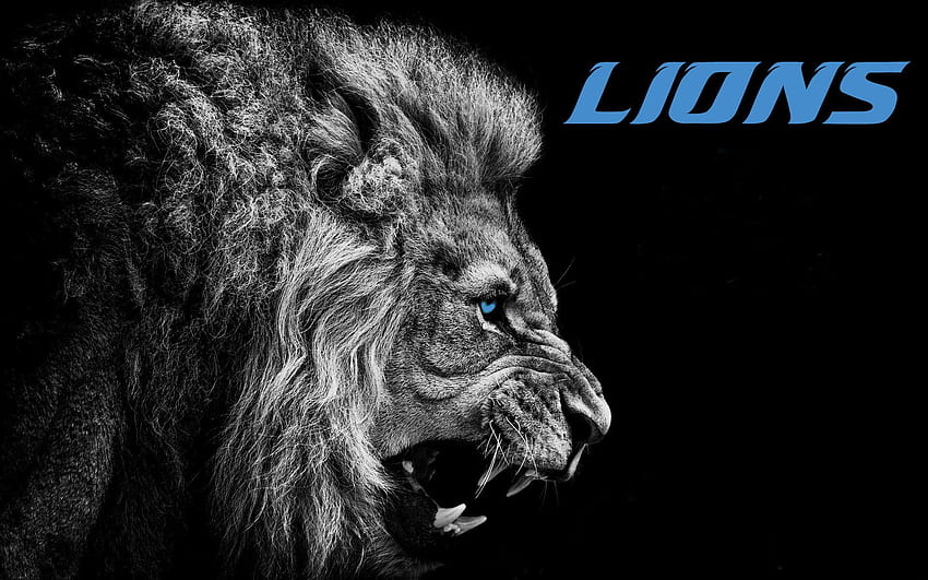 Detroit Lions, Detroit Lions keren Wallpaper HD
