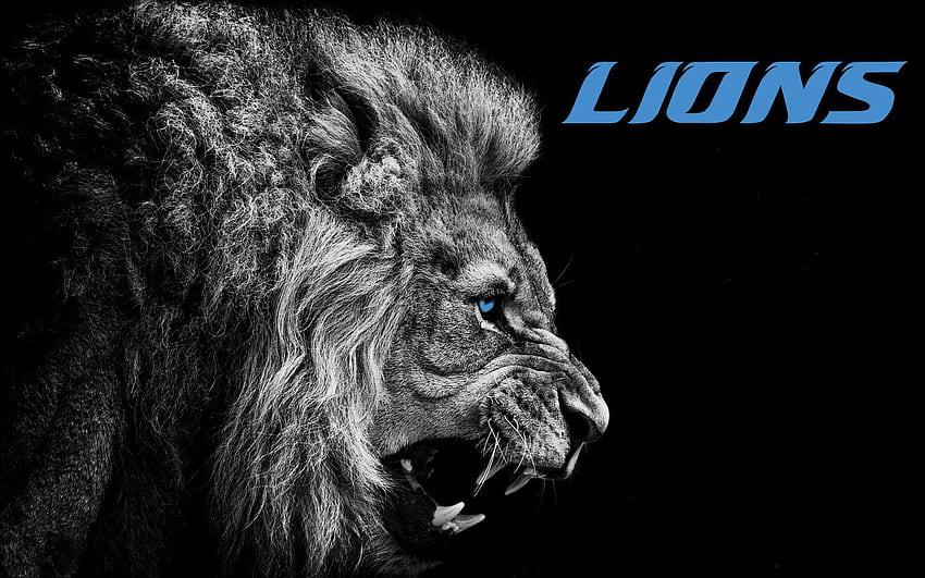 cool detroit lions wallpaper