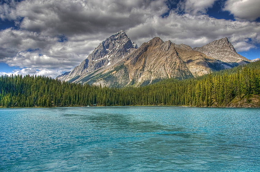 ジャスパー パーク カナダ マリーン R 自然 湖公園 風景、カナダの森 高画質の壁紙
