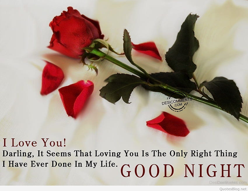 Red Rose I Love You Good Night HD wallpaper | Pxfuel