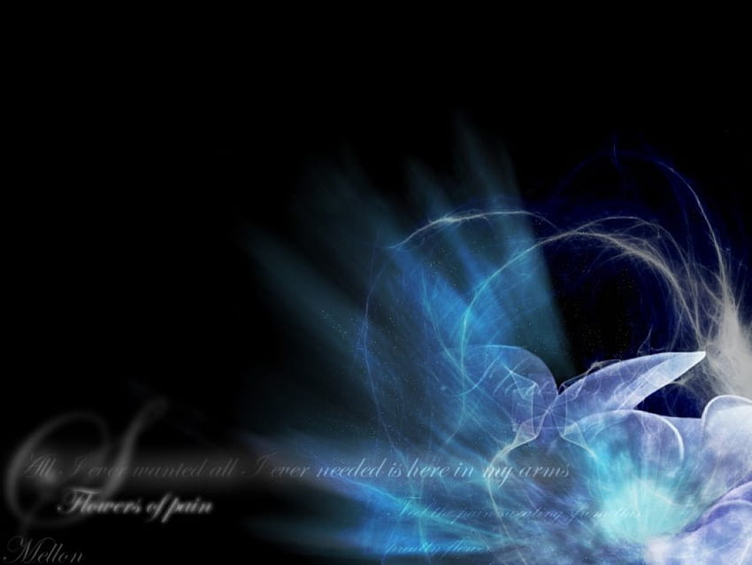 Dreams are made of these..., saying, on black, art, abstract flower HD wallpaper