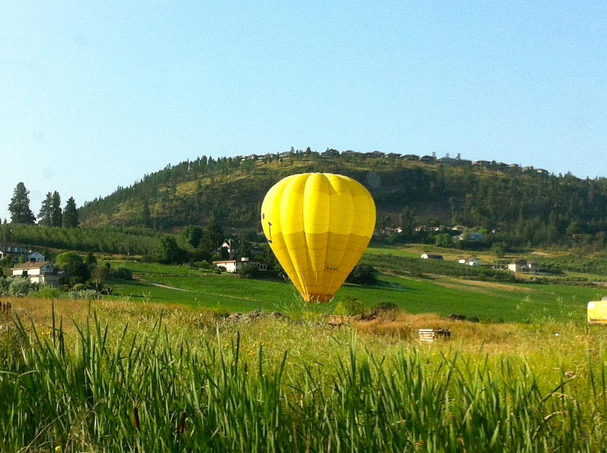 黄色の熱気球、道路のシーン、丘、野原、黄色、輸送、草、気球 高画質の壁紙