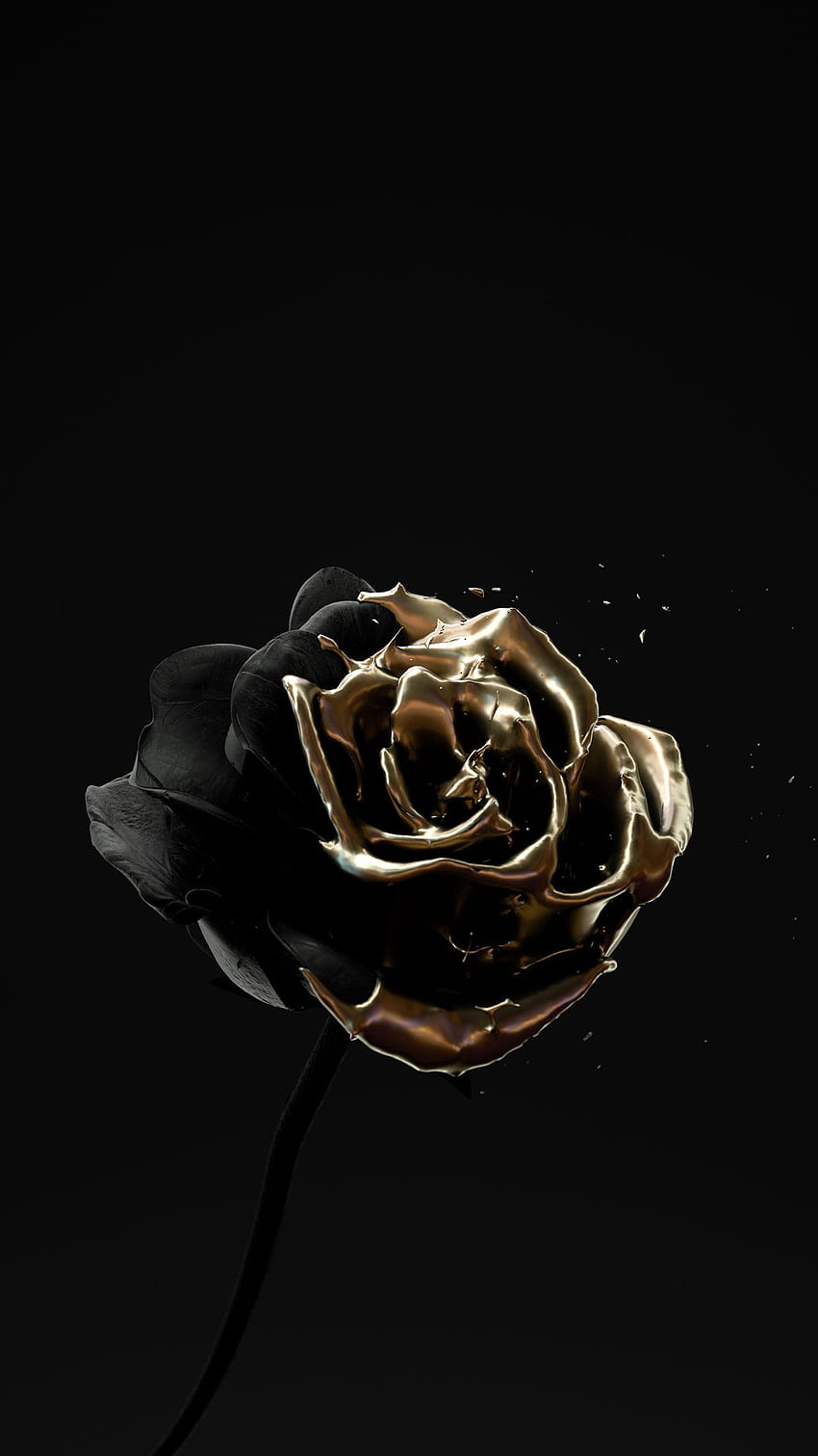 Black Rose Gold iPhone Pinterest HD phone wallpaper