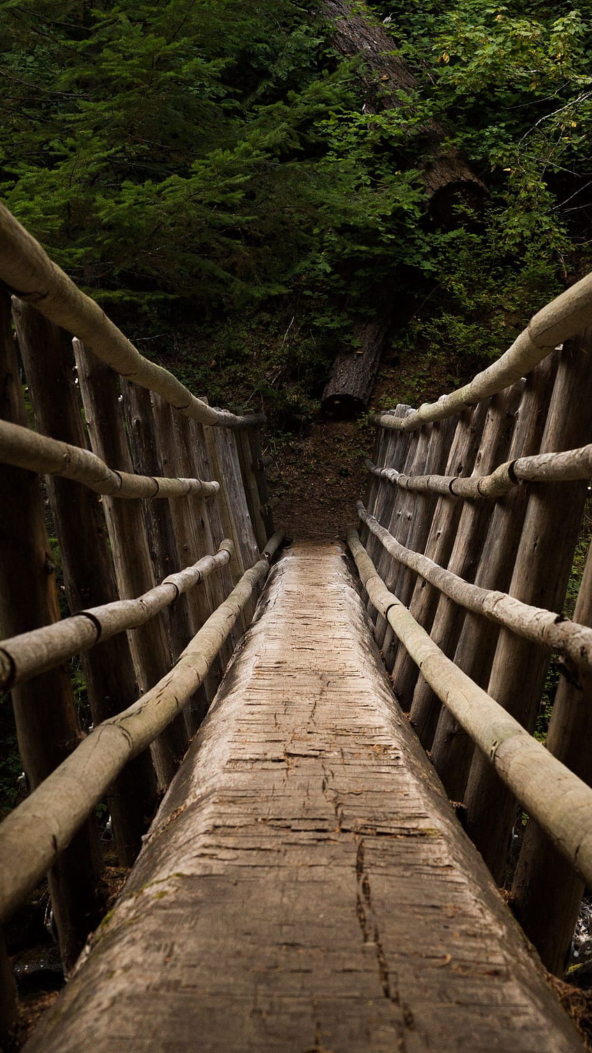 Wooden Bridge, bridge, wooden, nature HD phone wallpaper