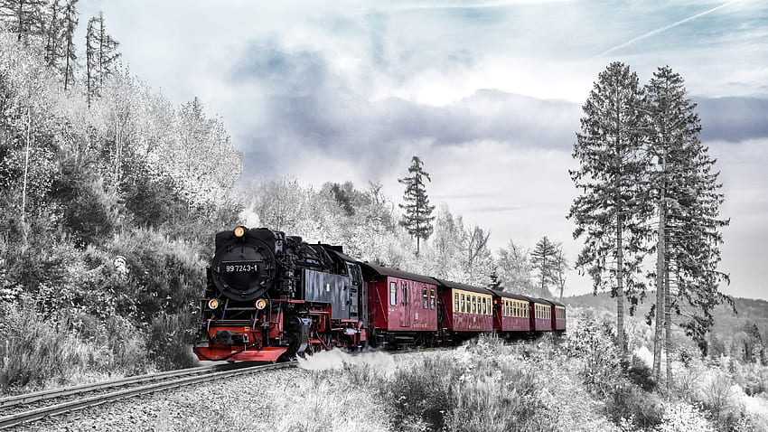雪の森の赤い電車 高画質の壁紙