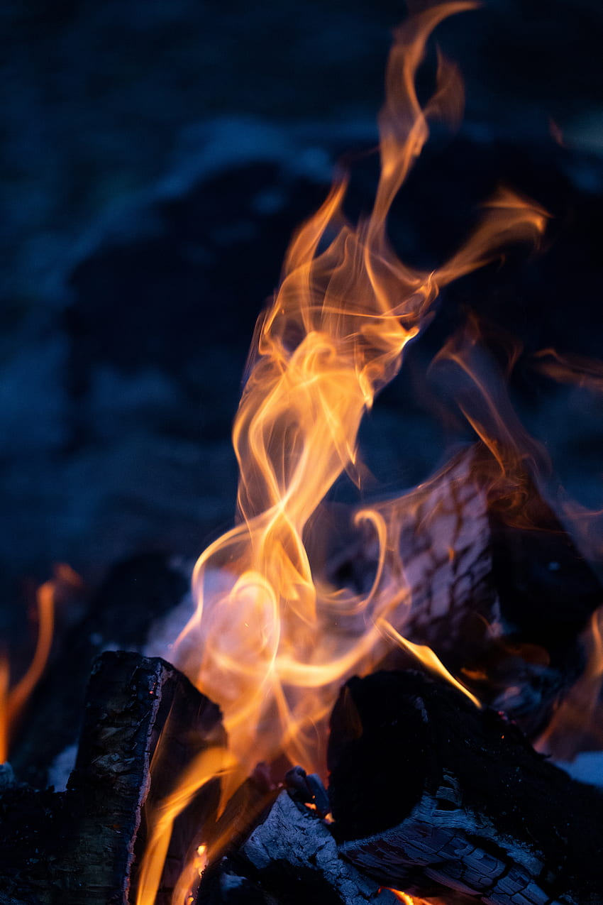Fire, Bonfire, Coals, , , Firewood, To Burn, Burn HD phone wallpaper
