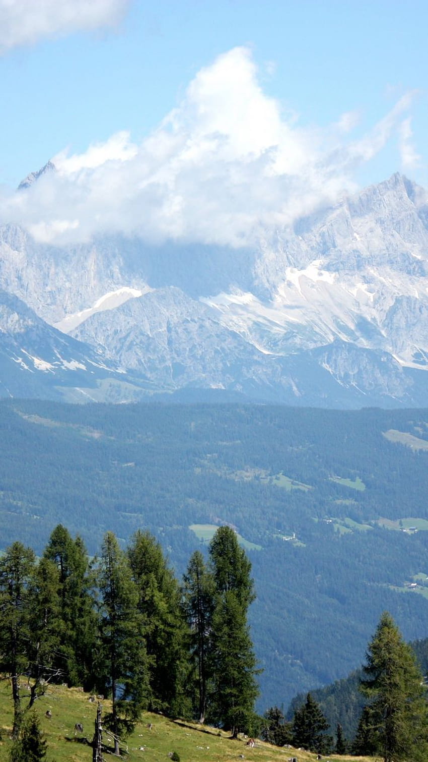 austria, alps, mountains, trees samsung galaxy mini s3, s5, neo, alpha, sony xperia compact z1, z2, z3, asus zenfone background, Austrian Alps HD phone wallpaper