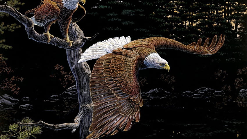 in flight, flying, proud, birds, eagle HD wallpaper