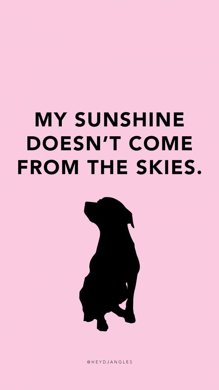 Dog quotes funny HD wallpapers | Pxfuel