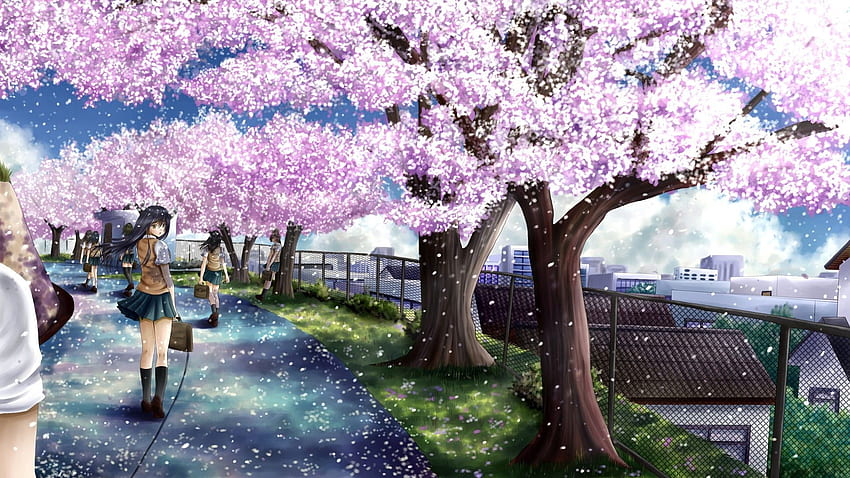 Cherry Blossom Anime 1362511 [] para tu, móvil y tableta. Explora la flor de cerezo del anime. Flor de cerezo, Flor de cerezo japonesa, Flor de cerezo, Sakura Tree Anime fondo de pantalla