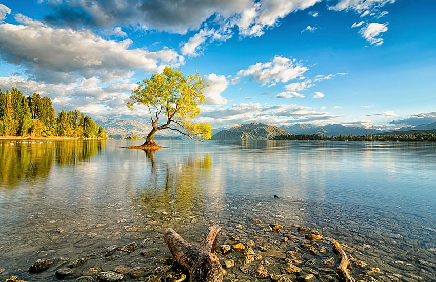 Природа, Езеро, Нова Зеландия, Остров, Уанака HD тапет