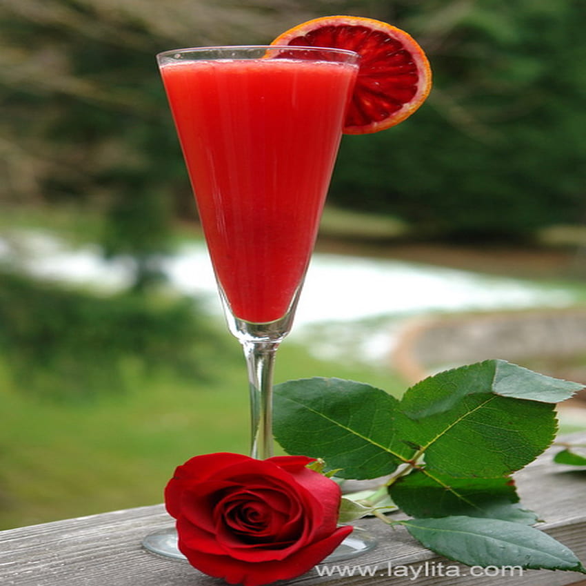 campari, summer, cocktail, blood-orange, red rose HD wallpaper
