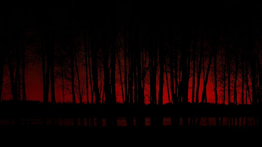 Dark Forest - Red And Black Forest HD wallpaper