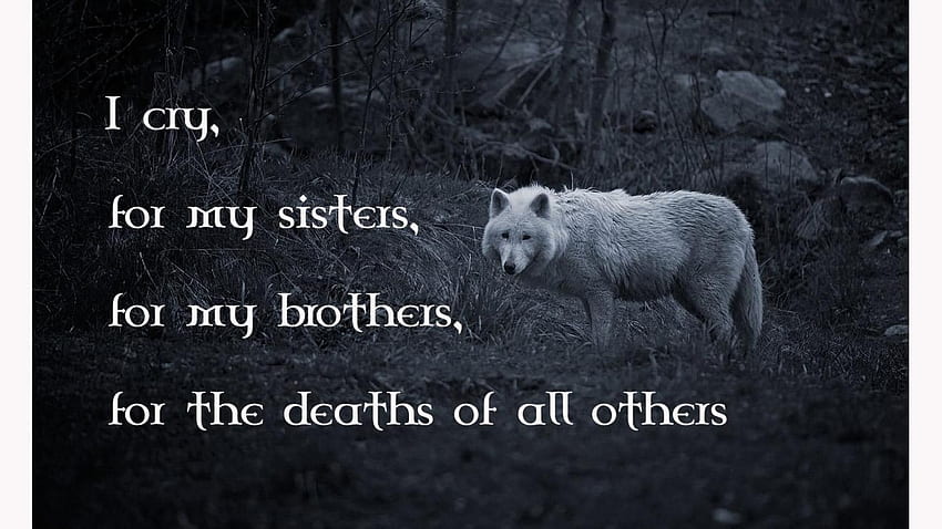Rest in peace. You are all dearly missed, Wolf Quotes HD wallpaper | Pxfuel
