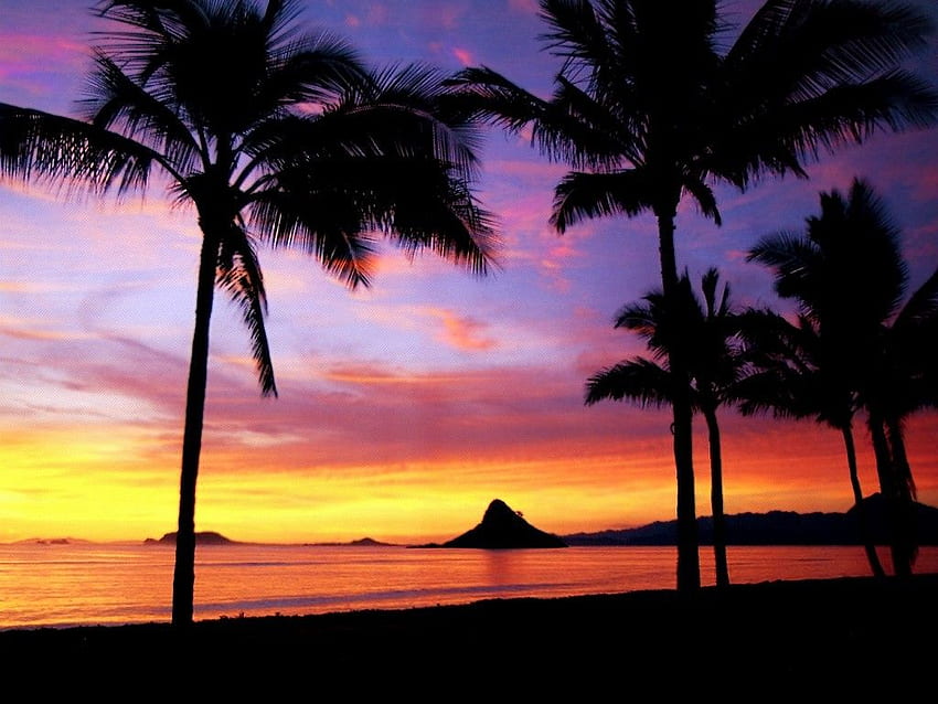 List of Synonyms and Antonyms of the Word: hawaii sunset, Hawaiian Christmas HD wallpaper