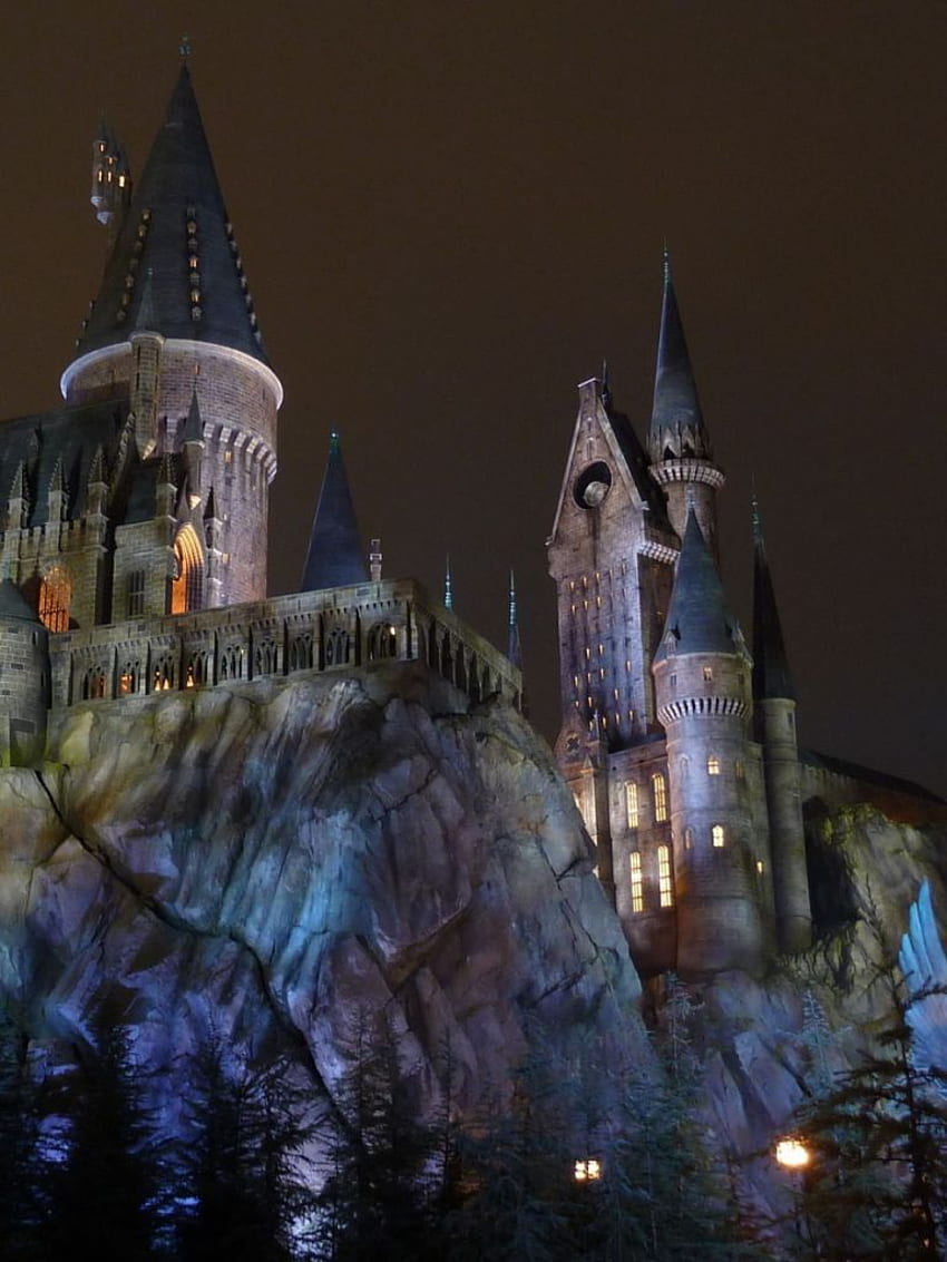 Kastil Harry Potter Hogwarts [] untuk , Ponsel & Tablet Anda. Jelajahi Harry Potter Hogwarts. Gryffindor, Ravenclaw, Slytherin wallpaper ponsel HD