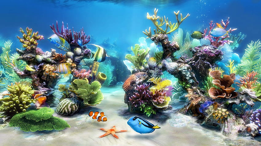 Sim Aquarium - พิพิธภัณฑ์สัตว์น้ำเสมือนจริง, สกรีนเซฟเวอร์และมีชีวิต, Ultra Aquarium วอลล์เปเปอร์ HD