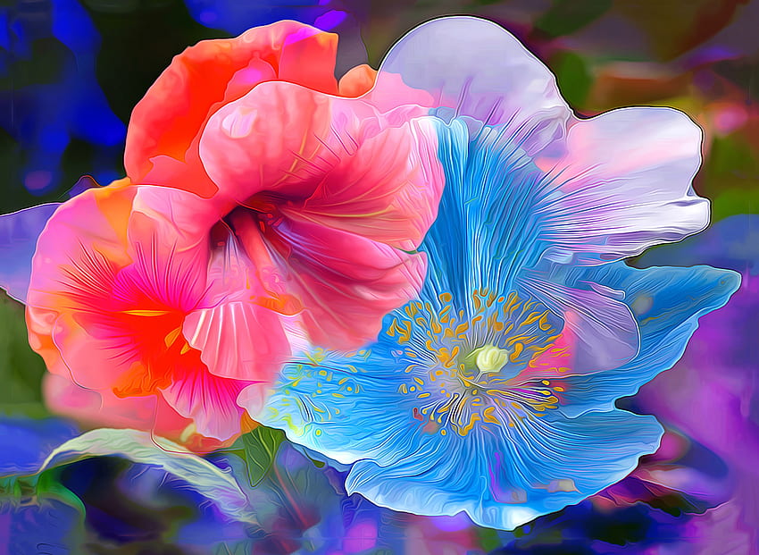 Fleurs, bleu, rose, peinture, art, coquelicot, pictura, fleur, luminos Fond d'écran HD