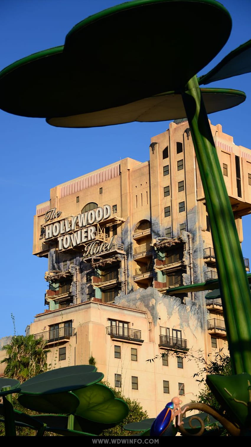 Walt Disney World, Hollywood Studios iPhone Sfondo del telefono HD