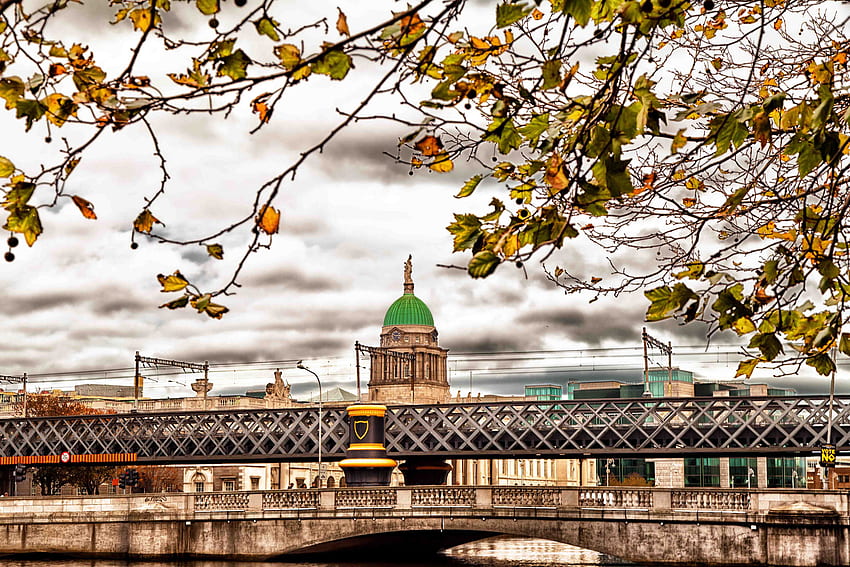 Ciudades, árboles, Otoño, Edificio, Puente, Irlanda, Dublin fondo de pantalla