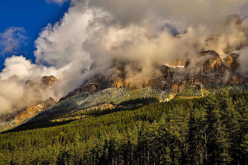 przyroda, trawa, góry, kanada, mgła, park narodowy banff Tapeta HD