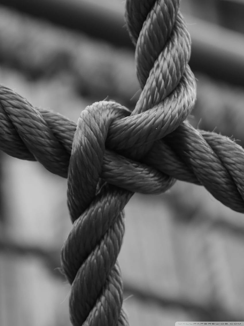 Ropes HD wallpapers free download  Wallpaperbetter