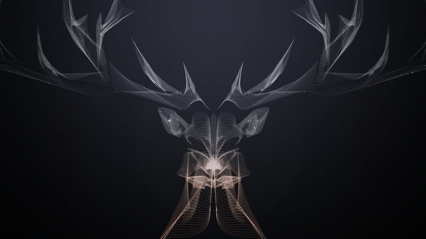 Stag, Deer Black and White HD wallpaper