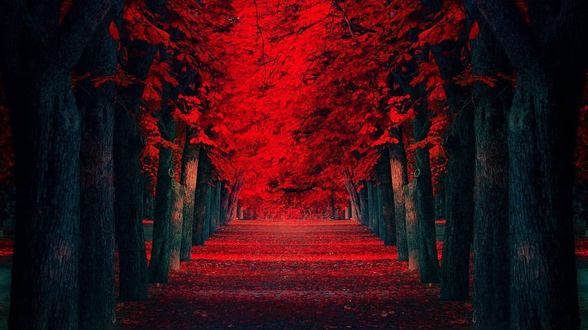 bosque rojo, selva roja fondo de pantalla