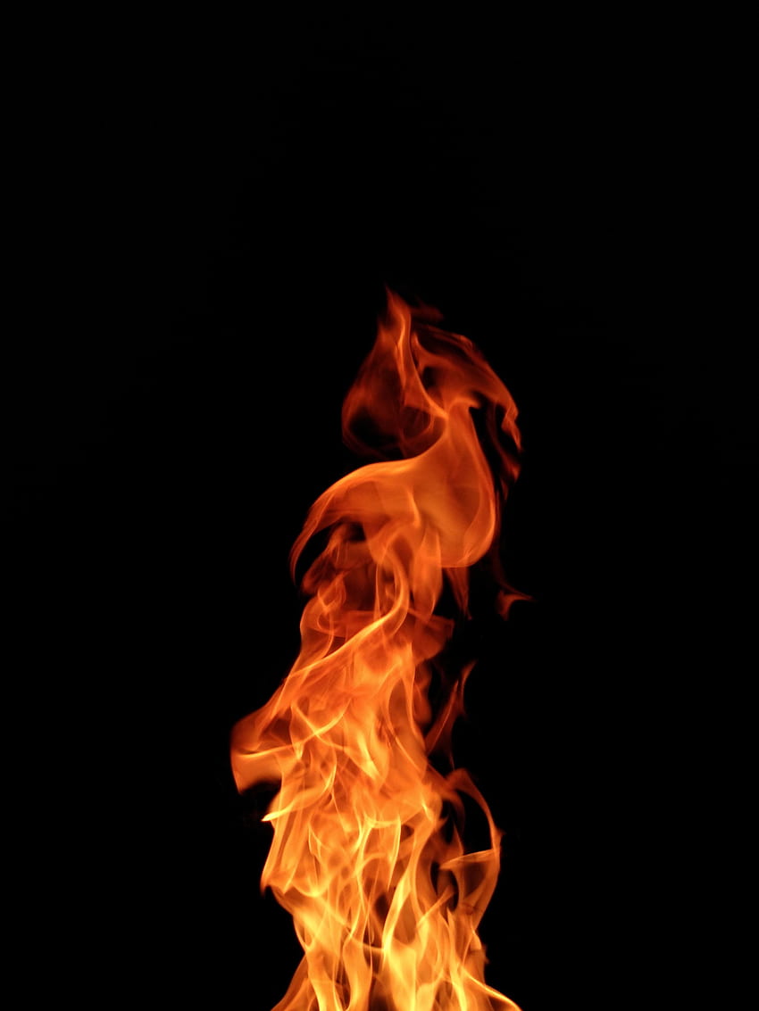 Fire, Dark, Flame, Darkness, Combustion HD phone wallpaper
