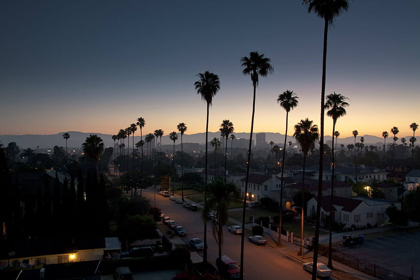 LA has the most aesthetic streets in america Forums, California Aesthetic  HD wallpaper | Pxfuel