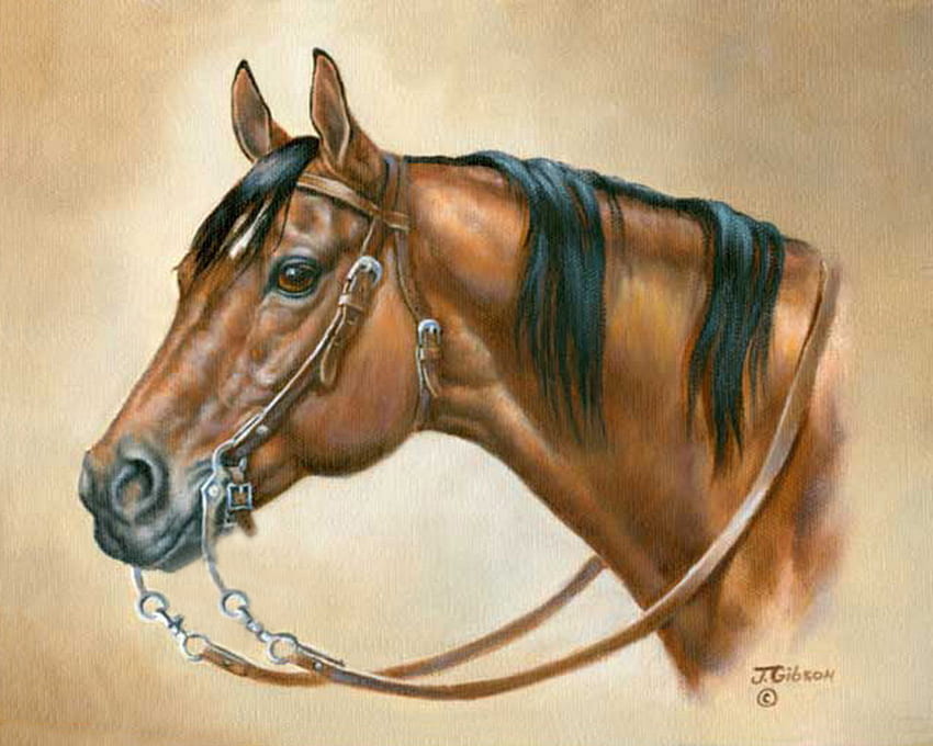 Par Judy Gibson, animal, cheval, peinture, art, judy gibson Fond d'écran HD