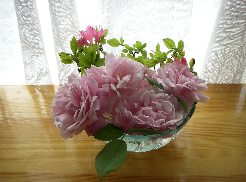 花, バラ, テーブル, 花瓶, 庭, つぼみ, カーテン 高画質の壁紙