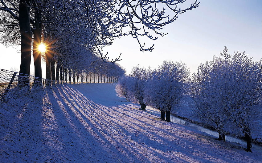 Netherlands keren. Places to Visit. Winter, Winter Europe HD wallpaper