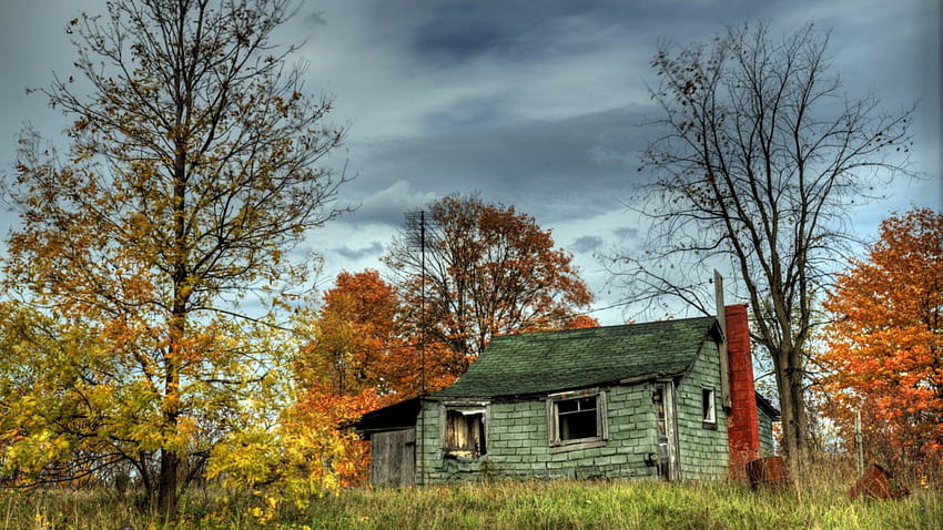 abandoned cabin in a autumn forest r, abandoned, autumn, r, forest, overcast, cabin HD wallpaper