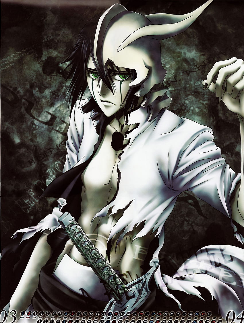 Ulquiorra Cifer, anime, splitting, Bleach, Kurosaki Ichigo, Espada -  wallpaper #63018 (2429x1326px) on